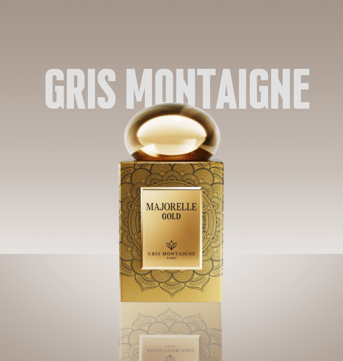 GRIS MONTAIGNE