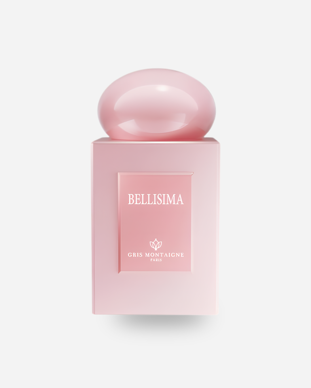BELLISIMA - Gris Montaigne
