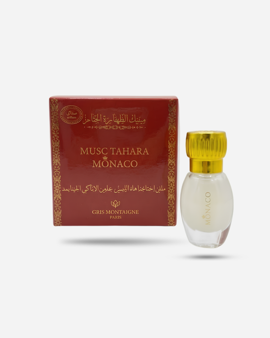MUSC TAHARA MONACO - Gris Montaigne