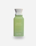 CREAMY PISTACHIO - Gulf Orchid