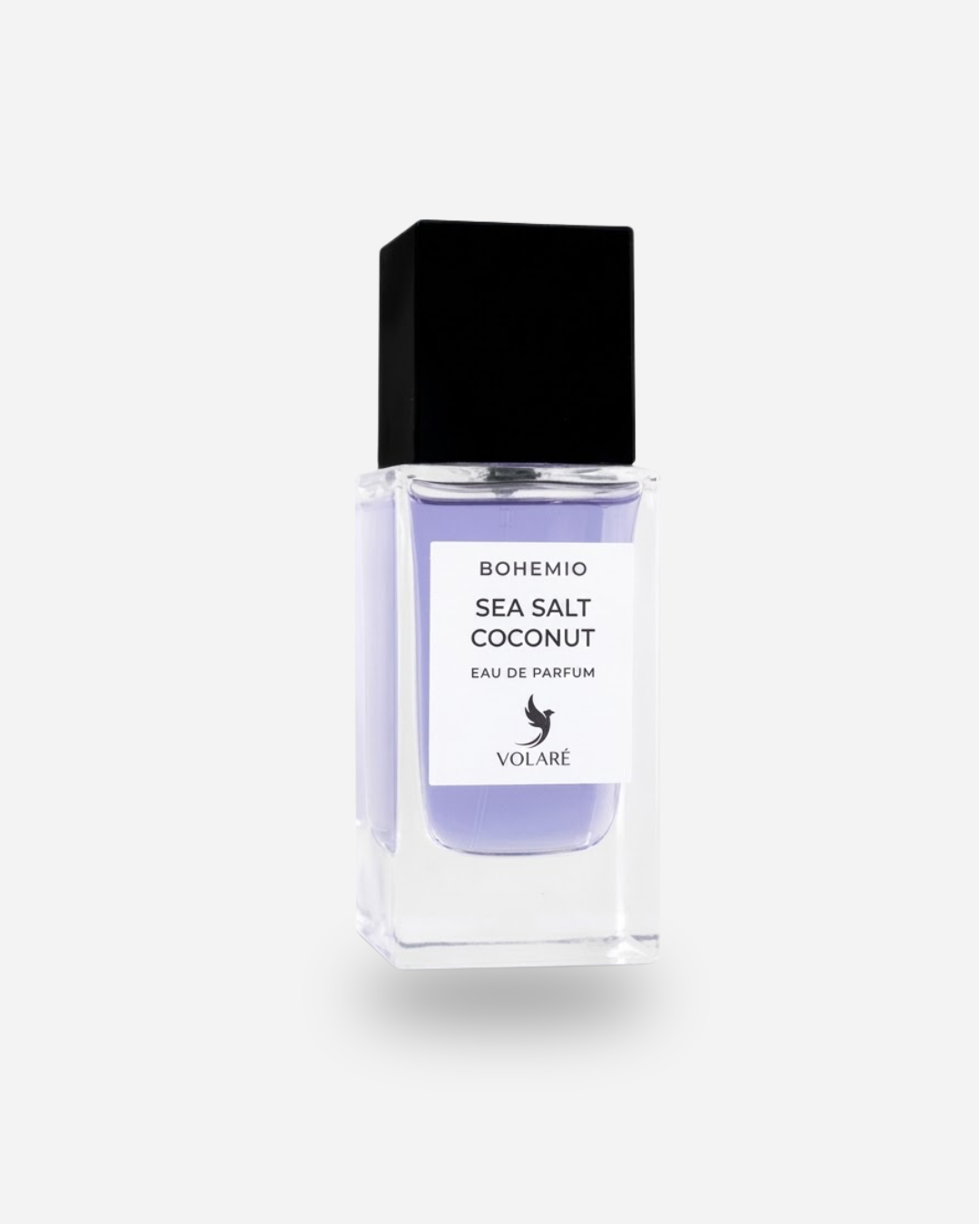 SEA SALT COCONUT - Volaré