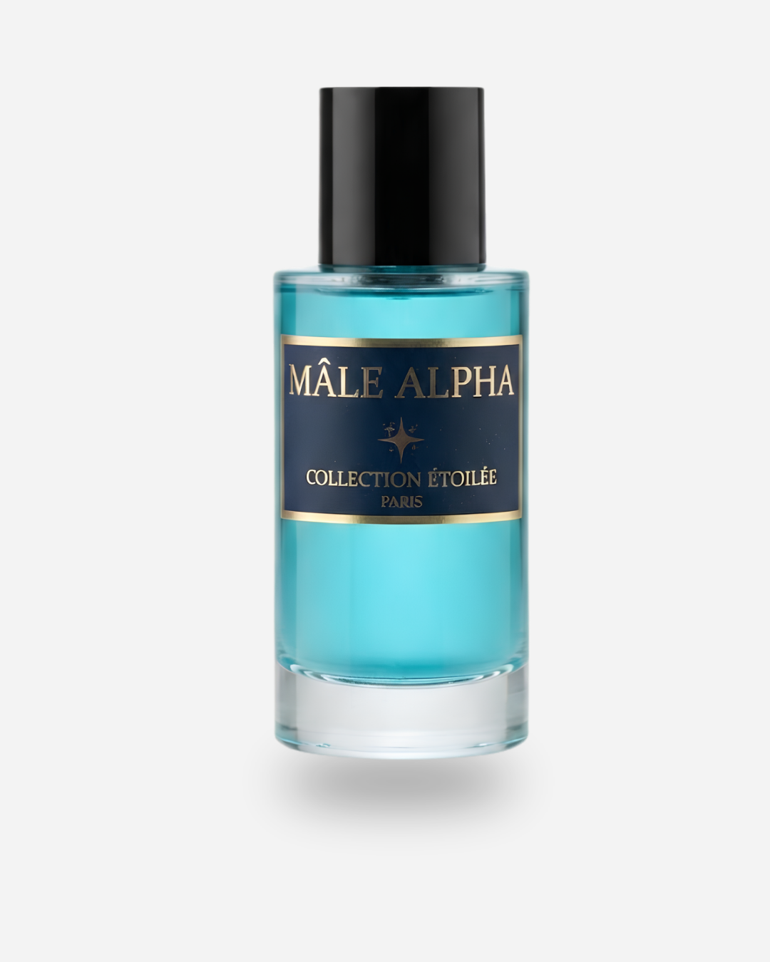 MÂLE ALPHA - Collection Étoilée
