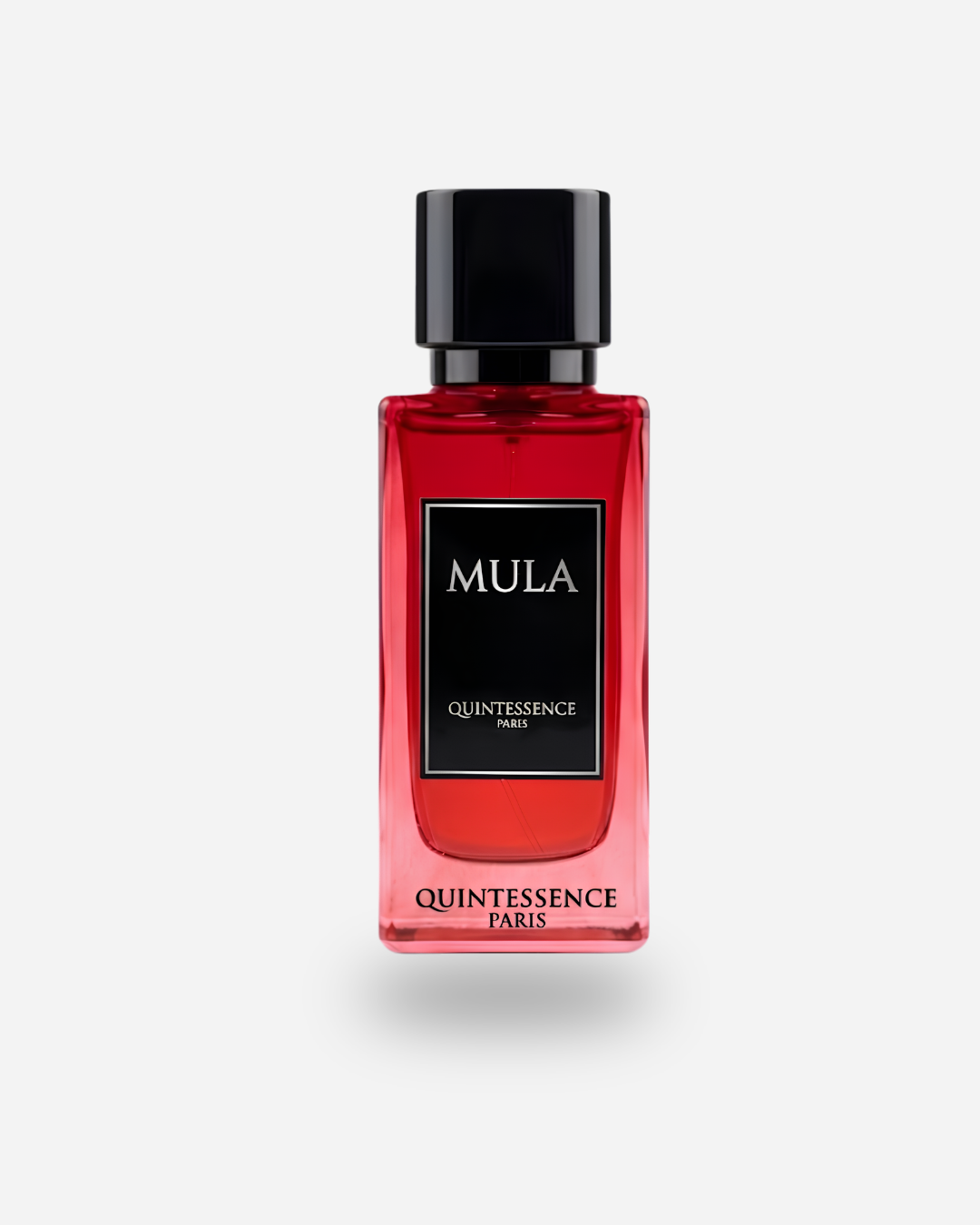MULA - Quintessence Paris